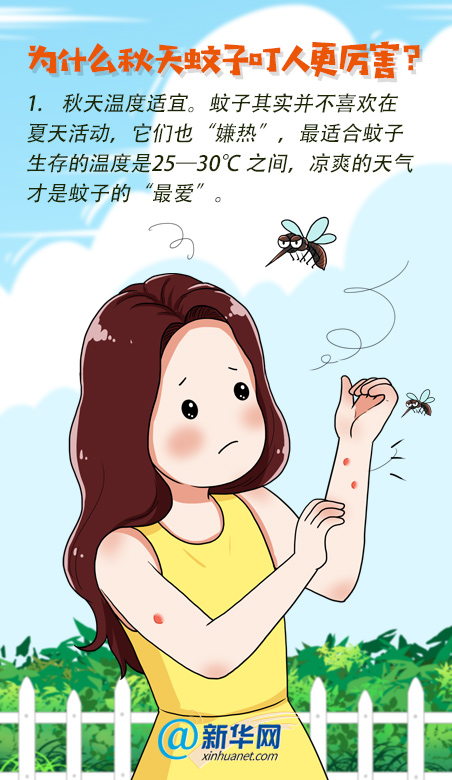為什么秋蚊子“喜歡”你？防蚊妙招快收藏
