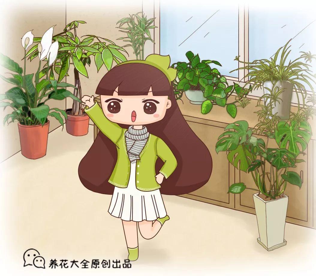 人養(yǎng)花，花也養(yǎng)人，這15種花，越養(yǎng)家里越干凈