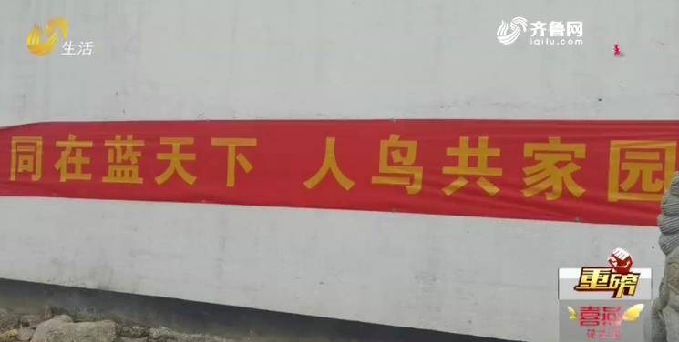 臨沂：花卉市場(chǎng)公然叫賣(mài)野生鳥(niǎo)類 民警現(xiàn)場(chǎng)查獲野鳥(niǎo)上千只