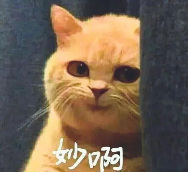 2020網(wǎng)絡(luò)流行語來了！