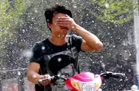 山東下“雪”？別讓四月漫天飄絮毀掉愛車！
