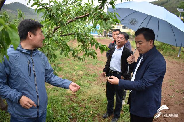 臨沂市這個(gè)鎮(zhèn)下起了冰雹 蘋(píng)果和蜜桃受災(zāi)面積將近8000畝