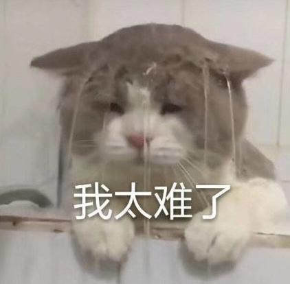 低至15℃！氣溫“小斷崖”，臨沂下周的天氣是這樣的……