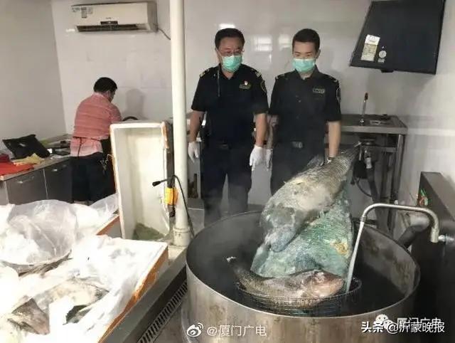 緊急攔截！全部銷(xiāo)毀！臨沂全市大檢查