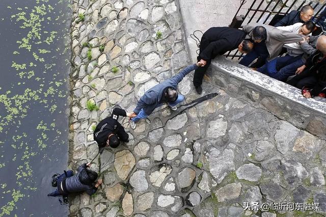 痛心！1人失足7人施救！8名落水小學(xué)生均無生命體征…警鐘再次敲響