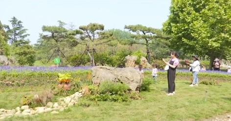 臨沂羅莊區(qū)：公園升級(jí)改造，營(yíng)造優(yōu)美休閑環(huán)境