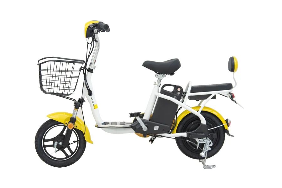「收官」臨沂電動(dòng)自行車掛牌數(shù)量全省第一，比第二名多……