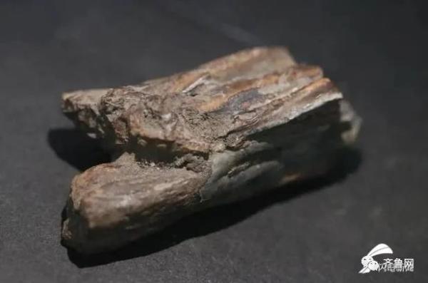 重要發(fā)現(xiàn)！臨沂發(fā)現(xiàn)一處舊石器遺址，距今約3-5萬年