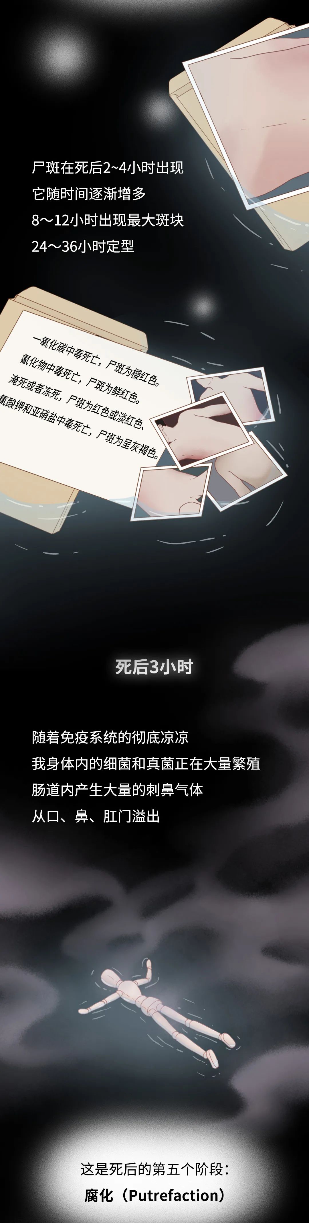 膽小勿入！人死后的24小時，身體竟會發(fā)生這些變化…