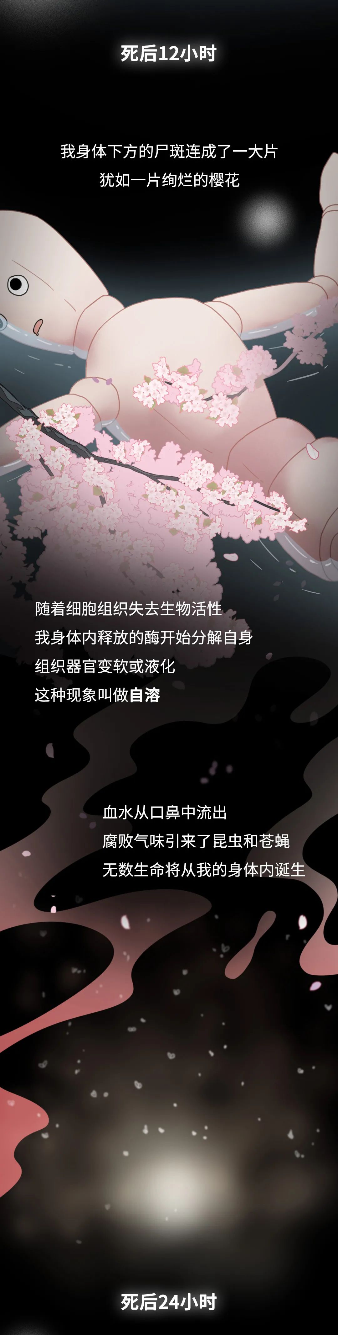 膽小勿入！人死后的24小時，身體竟會發(fā)生這些變化…
