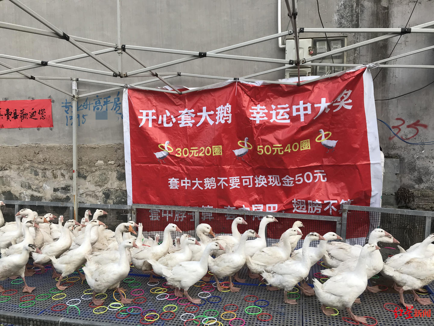 馬蹄河村的“拉面哥經(jīng)濟”