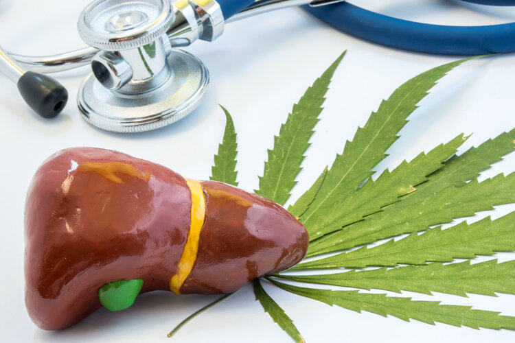 膽囊對(duì)人體有多重要？切除有何后果？膽囊切除4大疑問(wèn)一次說(shuō)清
