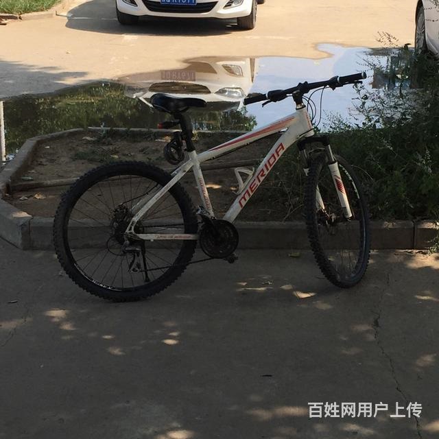 轉(zhuǎn)讓美利達(dá)公爵600