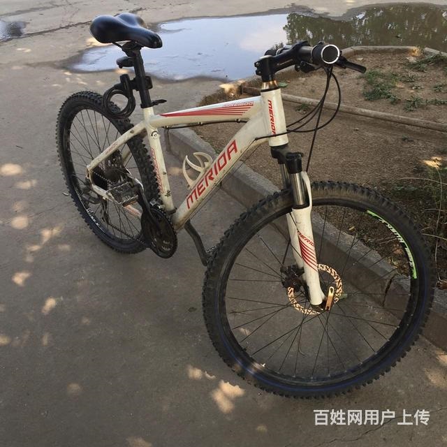 轉(zhuǎn)讓美利達(dá)公爵600
