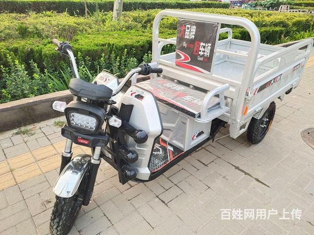 大將電動三輪車（9.9成新