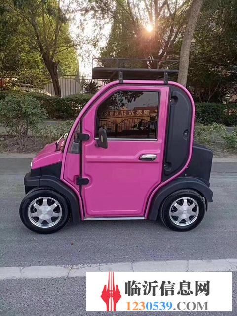 新能電動汽車 兩門四座