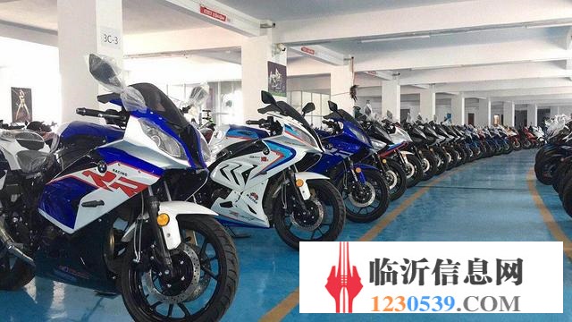 批發(fā)各品牌防跑 地平線 摩托車(chē)款式繁多臨沂