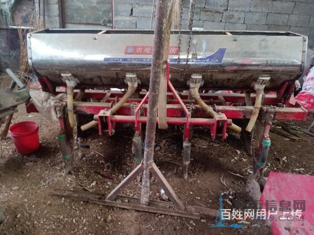 玉米播種一直