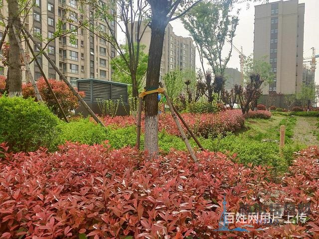 德馨園 精裝現(xiàn)房全明戶型 南北通透 戶型圖真實(shí) 隨時(shí)看房