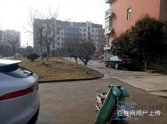 免 稅，真實圖片，中間樓層，雙氣入戶，客廳通陽臺，盛世嘉園