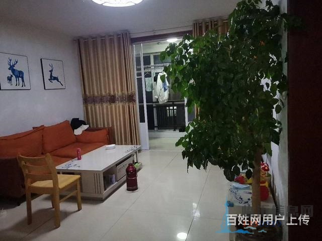 免 稅，真實(shí)圖片，中間樓層，客廳通陽臺，雙氣入戶，盛世陽光
