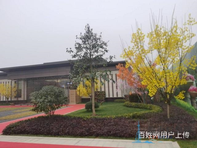 南湖壹號(hào)院小高8000多 首付5w 雙學(xué) 區(qū)