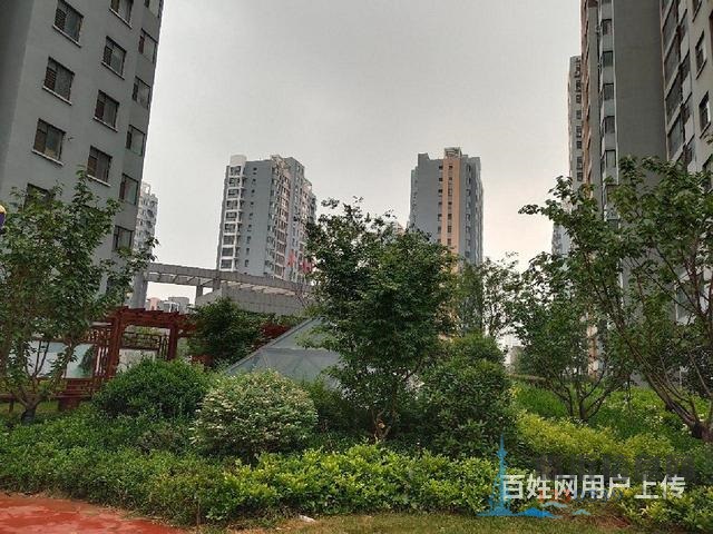 精裝修證過(guò)二，金陽(yáng)花園3室2廳2衛(wèi)好樓層邊套誠(chéng)心出售