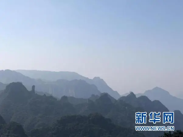 臨沂人這個(gè)證千萬(wàn)別丟！官宣：免費(fèi)