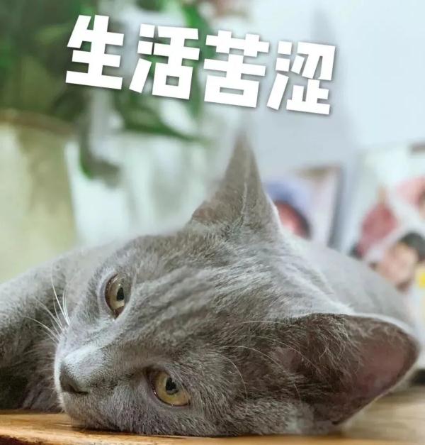 朋友借錢不還，我手里有聊天記錄和轉(zhuǎn)賬記錄，能追回我的錢嗎？民法典有話說