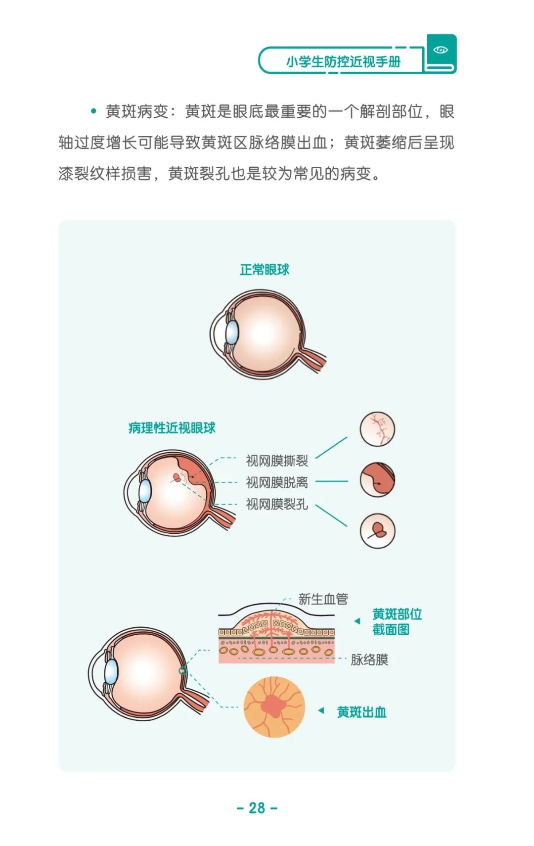 收藏！《兒童青少年防控近視系列手冊》之小學(xué)生篇
