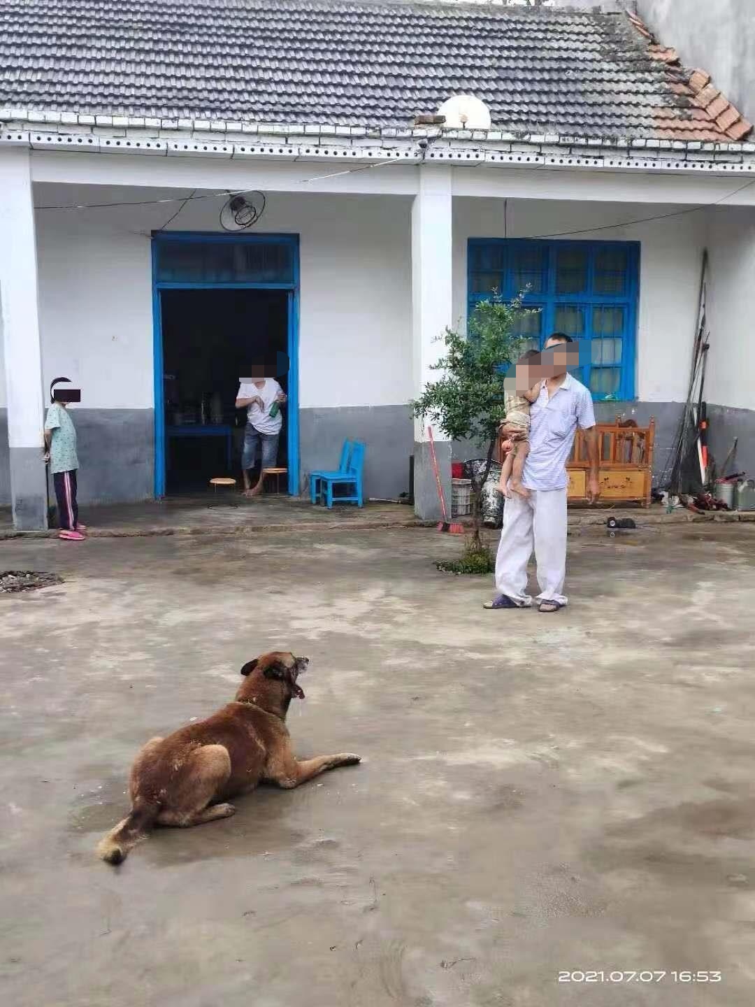 男子與智障女子生9娃引關(guān)注，鎮(zhèn)政府：8個(gè)孩子已落戶，積極做當(dāng)事人節(jié)育工作，男子表示不再生