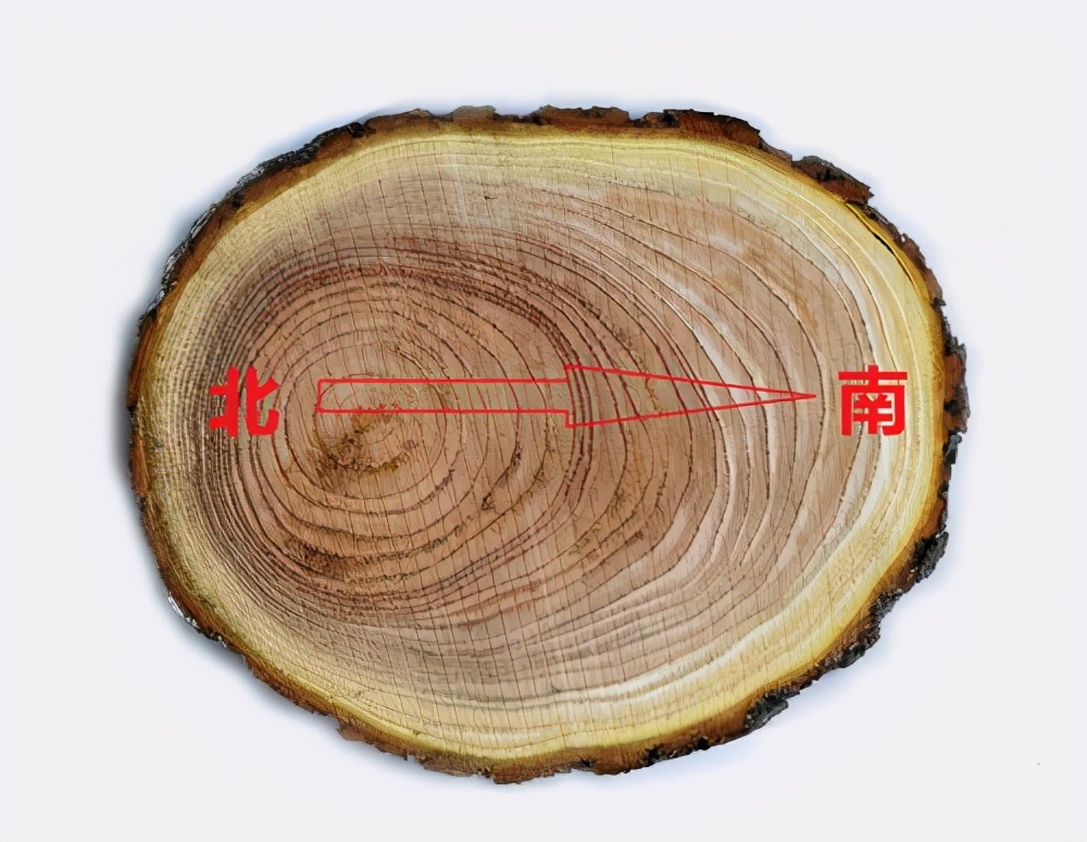 生活中的那些你不知道的小常識(shí)（一）