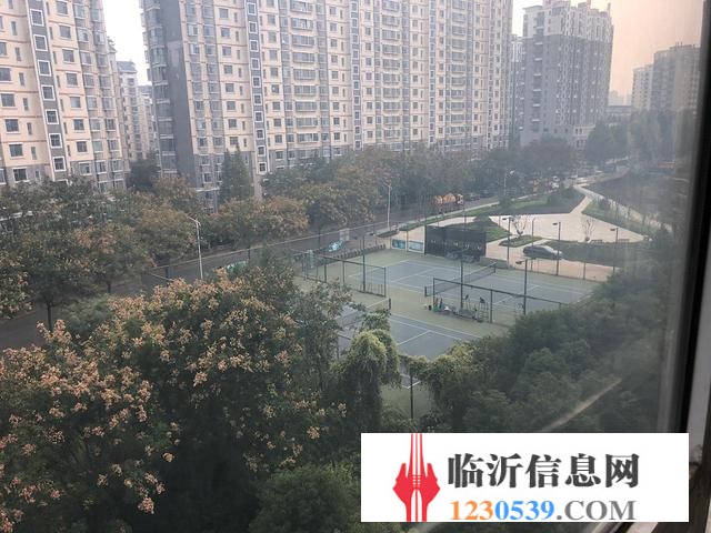低價頂復(fù)墅級多層急售