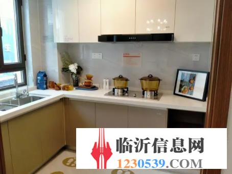 碧桂園城投翡翠外灘 一線河景房 精裝修 新房團(tuán)購