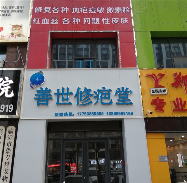 善世修疤堂的圖標(biāo)