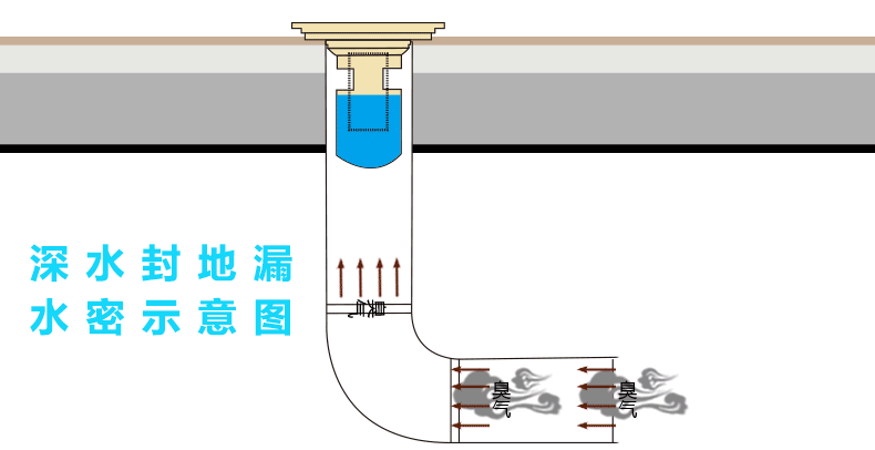實(shí)用！4招徹底解決衛(wèi)生間反味問(wèn)題