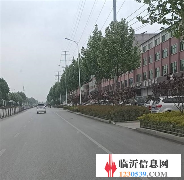 出租獨(dú)院260平方曠架
