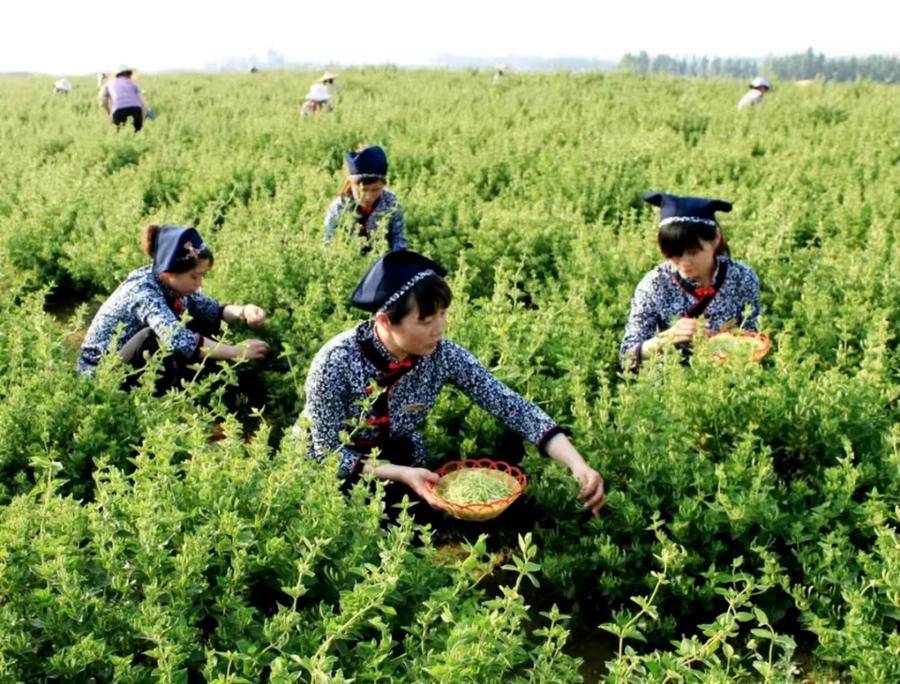 “5·19”中國旅游日｜臨沂人游臨沂，一大波福利來啦