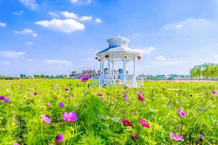 “5·19”中國旅游日｜臨沂人游臨沂，一大波福利來啦
