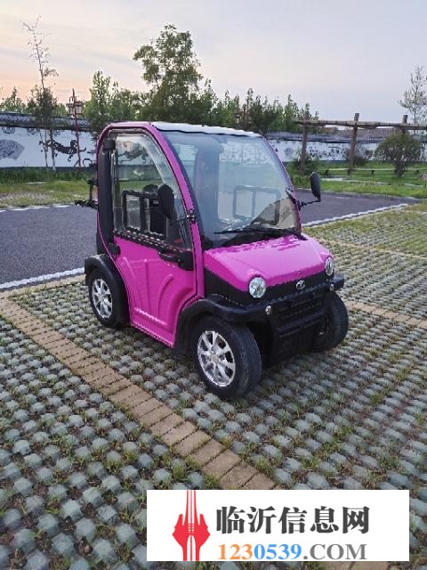 大陽電動車，全新電瓶