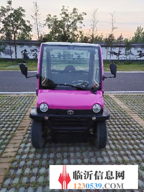 大陽電動車，全新電瓶